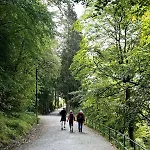 Vakn Opp Til Fantastisk Utsikt 卑爾根