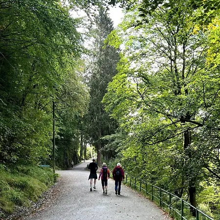 Vakn Opp Til Fantastisk Utsikt Bergen