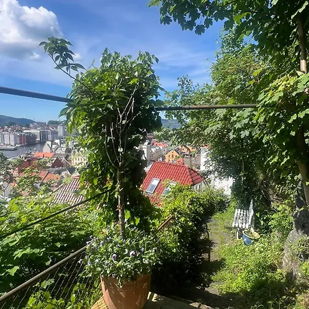 Vakn Opp Til Fantastisk Utsikt Appartement *