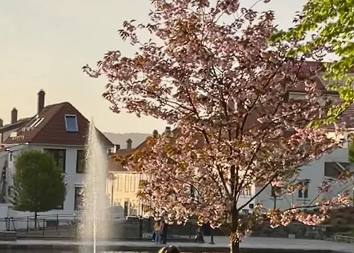 Våkn Opp Til Fantastisk Utsikt Leilighet