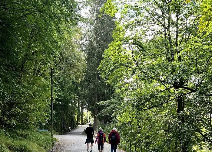 Våkn Opp Til Fantastisk Utsikt Bergen